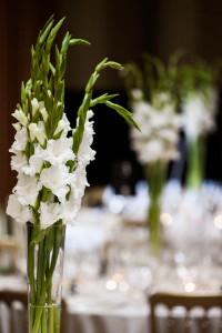 white flowers wedding centrepieces