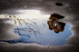 engagement photography reflection in puddle
